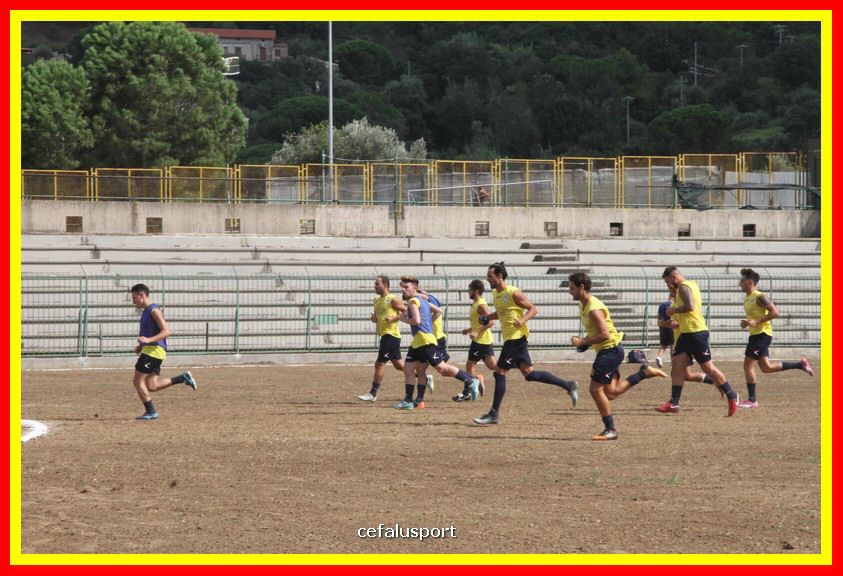 180826 Cepha_Lascari 031_tn.JPG